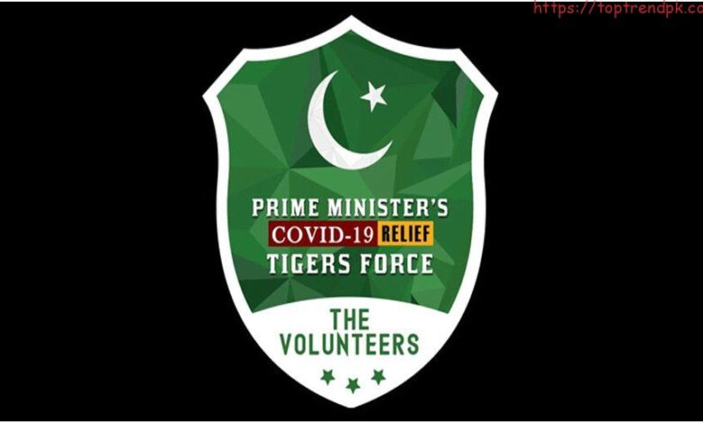tiger force registration form