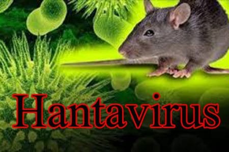 Who is most at risk of hantavirus?