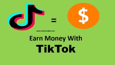 how to earn money from tik tok 2021