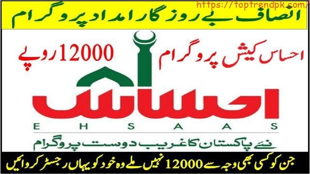 www.ehsaas.nadra.gov.pk online registration 2024