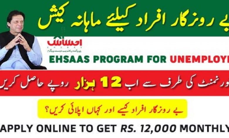 Ehsaas Program Online Registration 2020