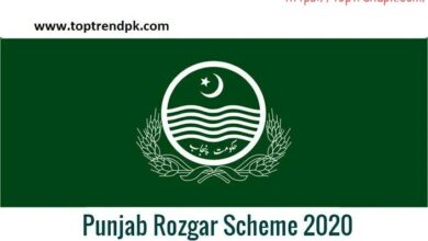 Punjab Rozgar Scheme 2020