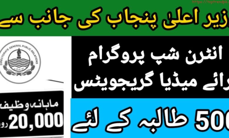 Online Apply CM Punjab Internship Program