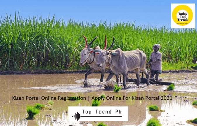 Kisan Portal online apply