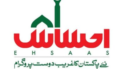 How To Check Ehsaas Program Status