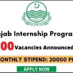 cm punjab paid internship program 2022