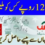 Ehsaas Program 12000 Online Apply