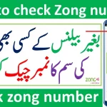 How to Check Zong Number