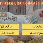 Chicken Price In Pakistan Today 26 July 2022
