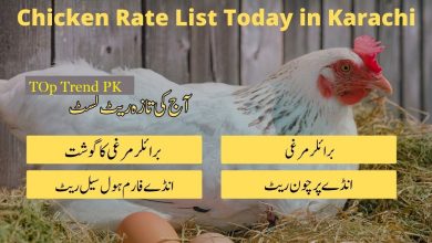 Chicken Price In Pakistan Today 26 July 2022