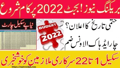 Basic Pay Scale Chart 2022 23 Sindh Government