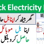 MEPCO Bill Check Online