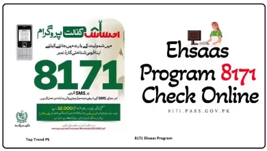 8171 Ehsaas Tracking Pass Gov Pk
