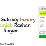 Ehsaas Subsidy Inquiry Portal 2023