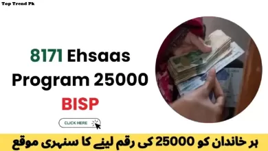 8171 ehsaas program 25000 BISP