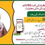 BISP 9000 Online Check
