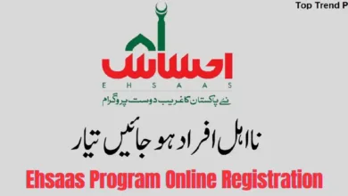 Ehsaas Program 25000 BISP Online Registration New Update