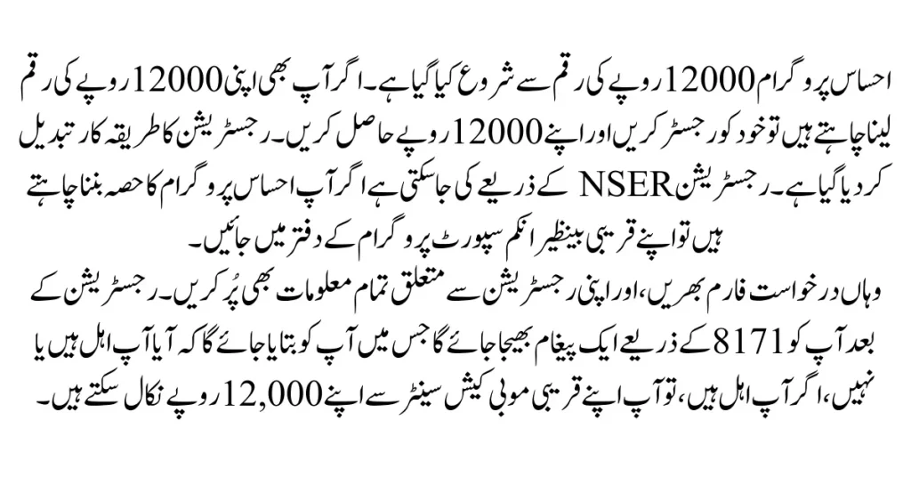 Ehsaas Program 12000 Online Apply