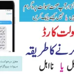 No more hospital queues! Check your Sehat Card status online (2024). Image shows how - active or not, eligibility too! Get started now!