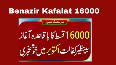 Get your Benazir Kafalat 16000 update! Online check, application details, latest news - everything you need to access your support. Don't miss out!