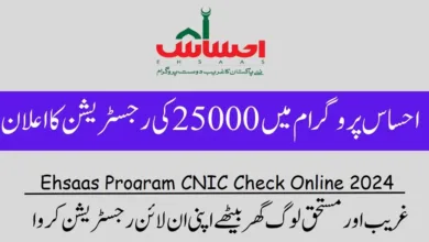 Check your Ehsaas Program status with a click! Image guides you through easy CNIC check and application tracking online in 2024. Stay informed!
