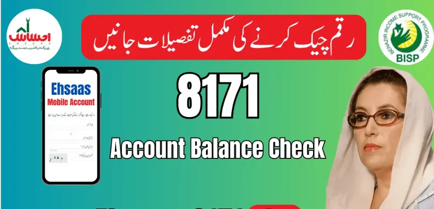 A comprehensive guide for quick and easy money transactions in 8171 Account Balance Check Online