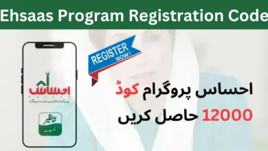 How to check Ehsaas Program code though your cnic number in simple steps