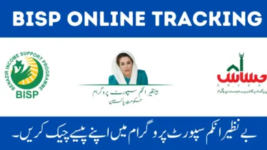 BISP New Payment Check By CNIC with simple steps.