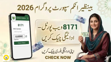 8171 Check Online 2026 – Check BISP Eligibility and Payment Status