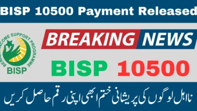 BISP 10500 Payment new update and verification