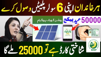 BISP solar Panels