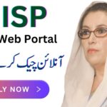 Ehsaas Web 8171 Portal