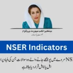 The National Socio-Economic Registry (NSER indicators) survey collects data on 24 key indicators to identify vulnerable households in Pakistan. These indicators are categorized into five themes: