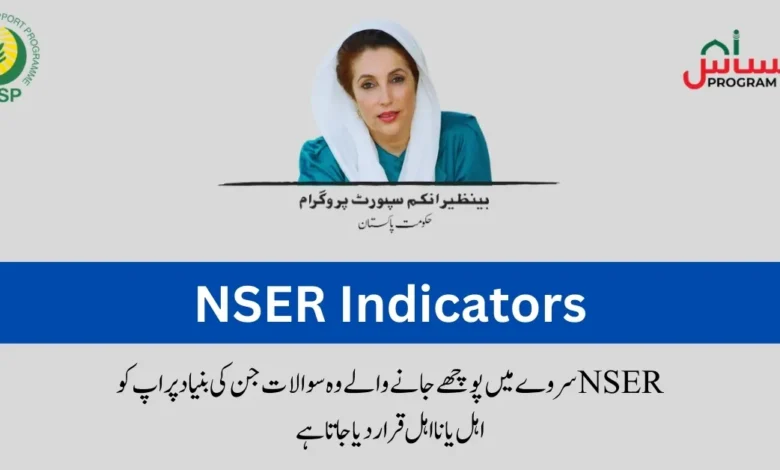 The National Socio-Economic Registry (NSER indicators) survey collects data on 24 key indicators to identify vulnerable households in Pakistan. These indicators are categorized into five themes:
