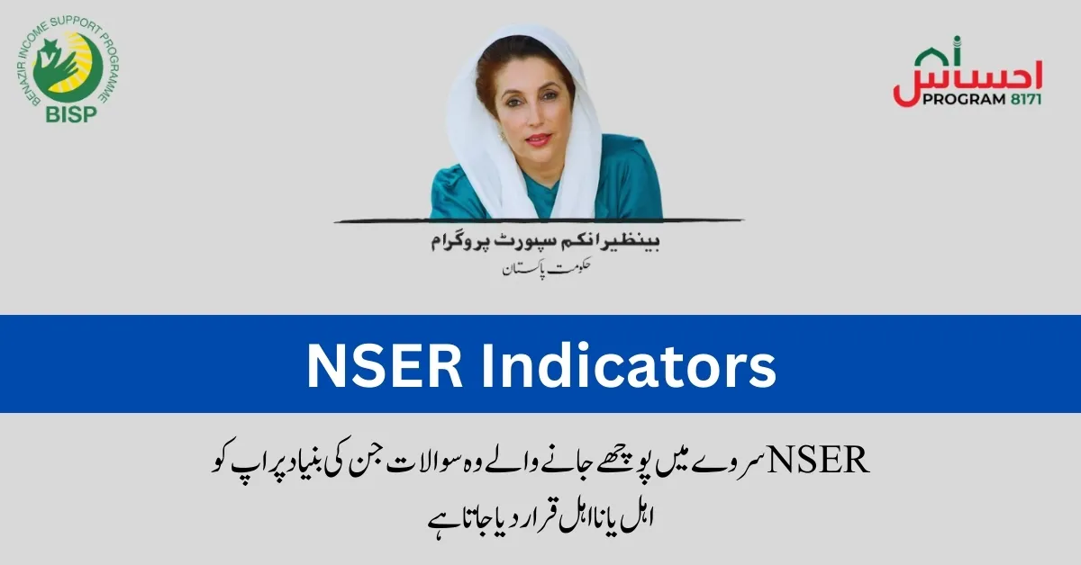 The National Socio-Economic Registry (NSER indicators) survey collects data on 24 key indicators to identify vulnerable households in Pakistan. These indicators are categorized into five themes: