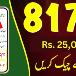 8171 ehsaas 25000 dynamic survey started again apply now