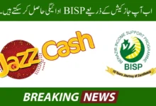 BISP Payment 10500
