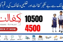 BISP Taleemi