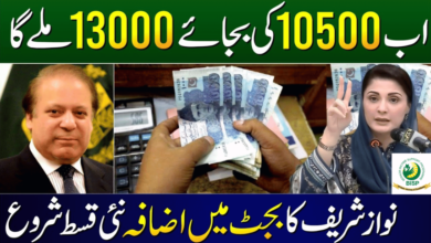 BISP payment increase in June budget update