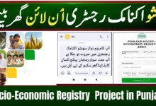 How to Apply for punjab socio