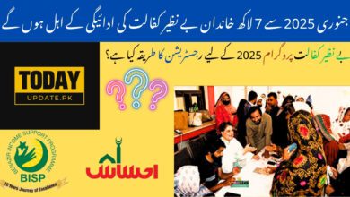 7 Lakh Families Eligible For Benazir Kafaalat Payment From January 2025