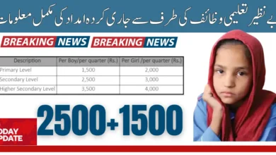 Benazir Taleemi Wazaif Double Paymen