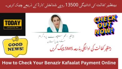 Check Benazir Kafalat Payment online