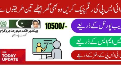 How to Check Your Eligibility in BISP