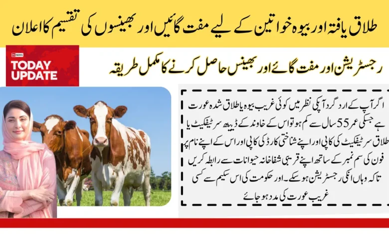 Free Livestock Cows And Buffaloes By Maryam Nawaz