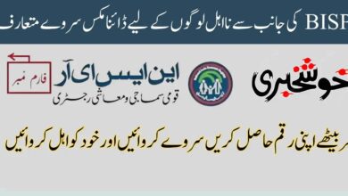 Dynamic Survey Introduced by BISP