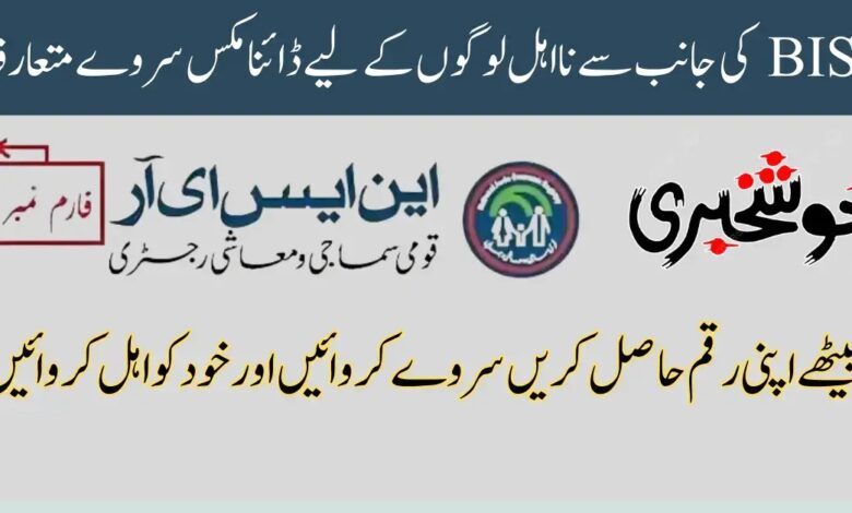 Dynamic Survey Introduced by BISP
