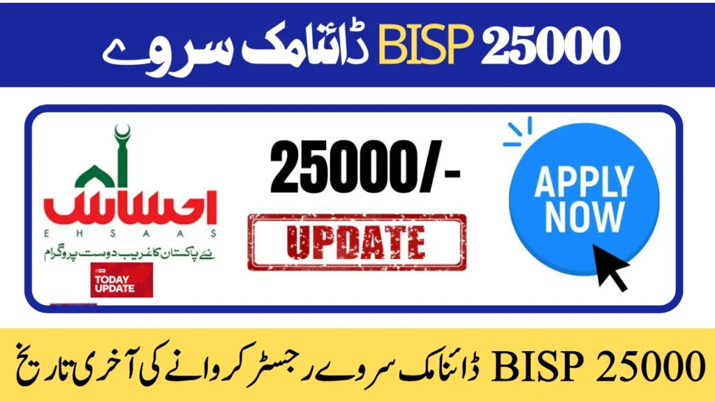 
Dynamic-survey-through-bisp-office