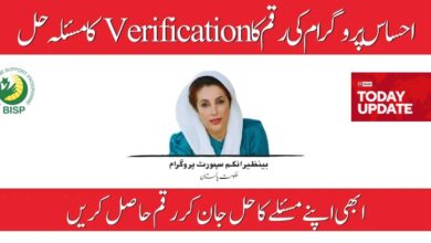 Ehsaas Payment Verification