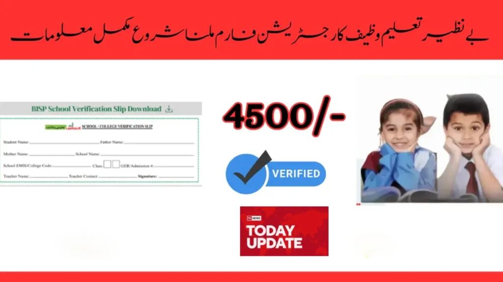 how to apply for School Verification Slip Benazir Taleemi Wazaif
